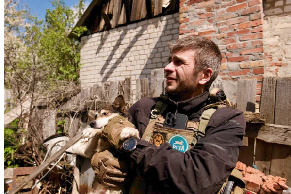 Tierretter Ruslan rettet einen Hund