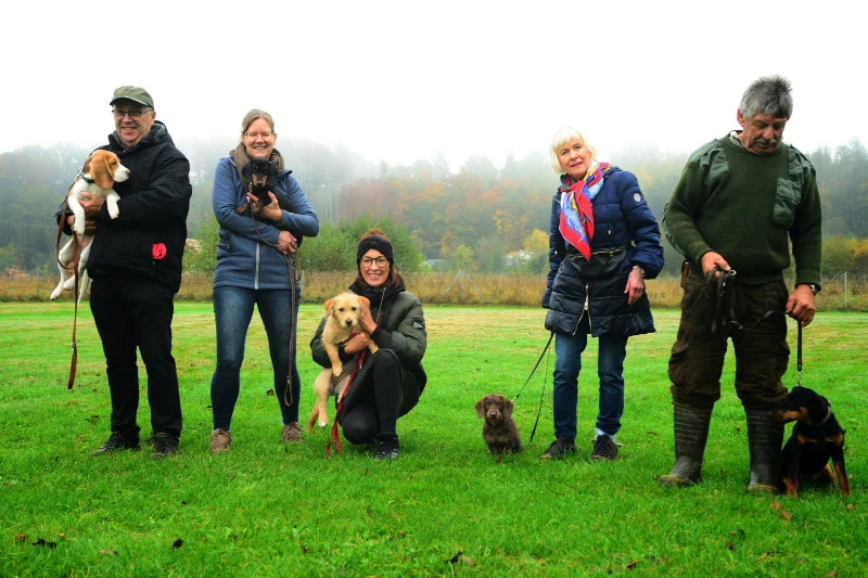 Dachshund-Club Nordbayern Sektion Coburg ist aktiv